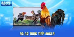 thumb đá gà trực tiếp 88clb