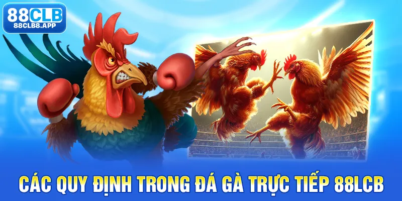 Các quy định trong đá gà trực tiếp 88LCB