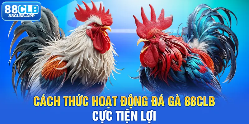 Cách thức hoạt động đá gà 88CLB cực tiện lợi