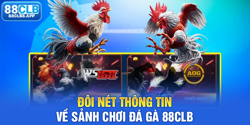 Đôi nét thông tin về sảnh chơi đá gà 88CLB