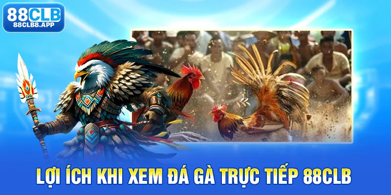 Lợi ích khi xem đá gà trực tiếp 88CLB